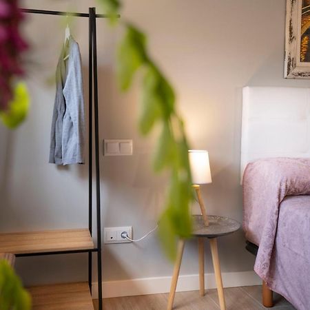 Apartamentos Terraza Ega Естеля Екстериор снимка