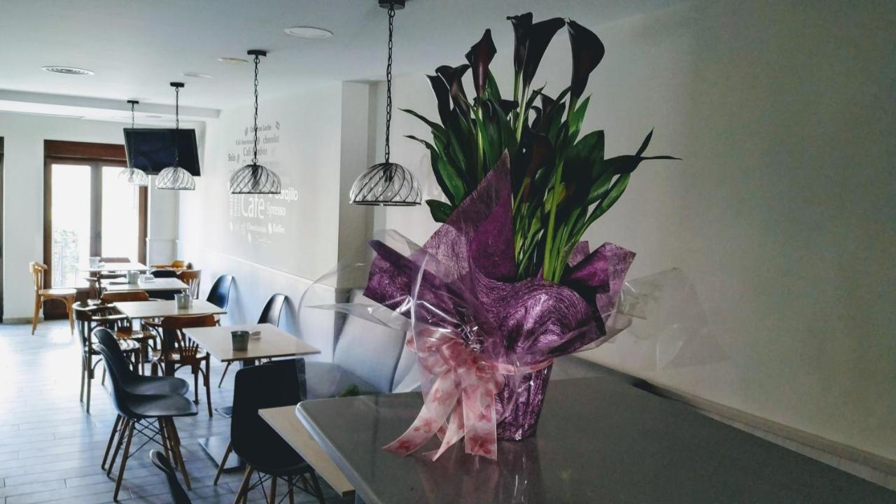 Apartamentos Terraza Ega Естеля Екстериор снимка